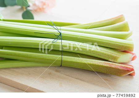 収獲したルバーブ 収獲したルバーブ 77459892