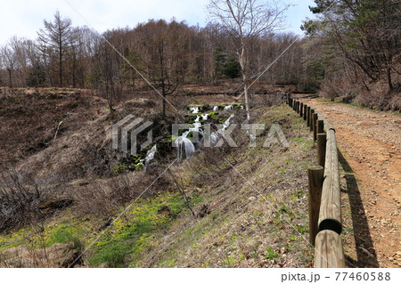 群馬県中之条町 チャツボミゴケ公園 穴地獄 天然記念物 群馬県中之条町 チャツボミゴケ公園 穴地獄 天然記念物 77460588