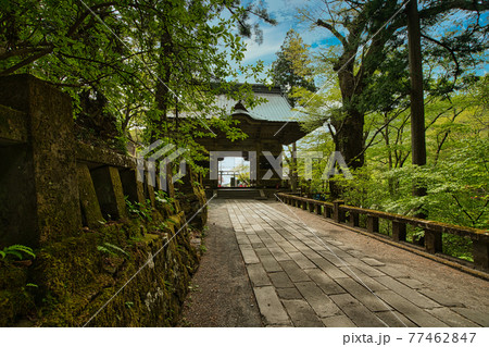 榛名神社 随神門 帰路方面 榛名神社 随神門 帰路方面 77462847