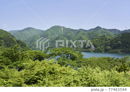 丹沢湖 77463594