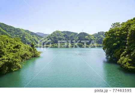 丹沢湖 77463595