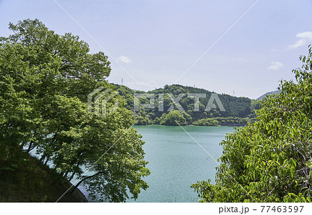 丹沢湖 丹沢湖 77463597