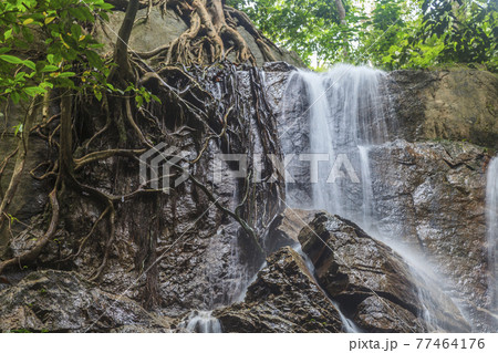 Waterfall in the jungle of Malaysia Waterfall in the jungle of Malaysia 77464176