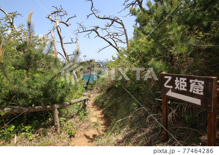 気仙沼大島、龍舞崎の乙姫窟入り口 気仙沼大島、龍舞崎の乙姫窟入り口 77464286