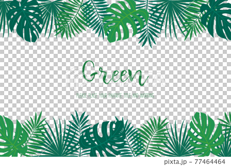 トロピカルリーフの背景素材のイラスト素材