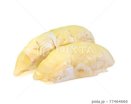 Yellow durian, a close up of Thai tropical smelly fruit food isolated on white background. 77464660