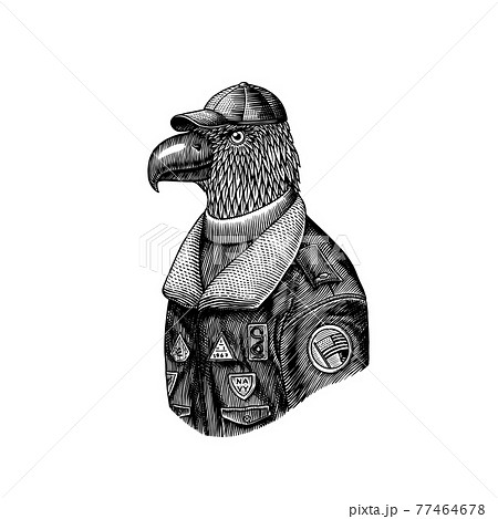 Eagle Character In Coat Aviator Pilot のイラスト素材