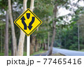 Split direction traffic sign blur background. 77465416