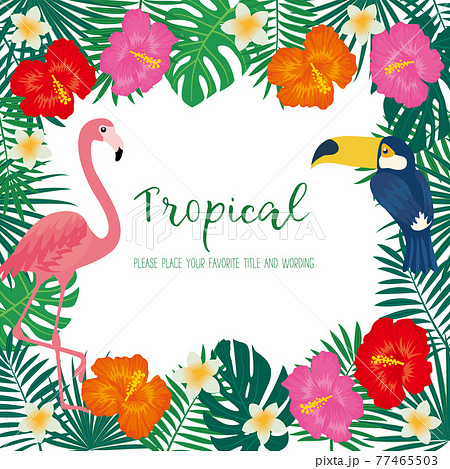 トロピカルモチーフのフレーム素材 77465503