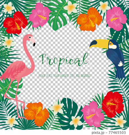 トロピカルモチーフのフレーム素材 77465503
