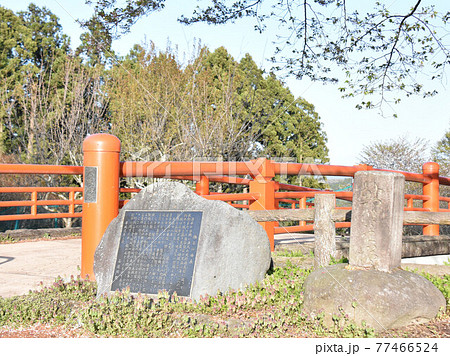 栃木県さくら市 お丸山公園 栃木県さくら市 お丸山公園 77466524