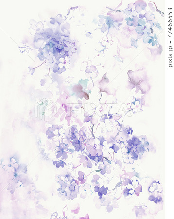 透明水彩 水彩画 花 77466653