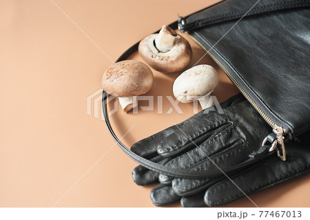 handbag and gloves made of mycelium leather, bio sustainable alternative to leather made of mushroom spores and plant fibres. mushroom textile innovative materials. eco bio-gradable vegan leather handbag and gloves made of mycelium leather, bio sustainable alternative to leather made of mushroom spores and plant fibres. mushroom textile innovative materials. eco bio-gradable vegan leather 77467013