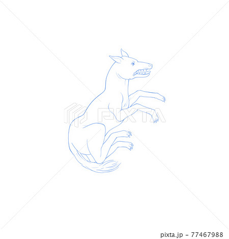 おおかみ座 星座絵 南天の星座のイラスト素材