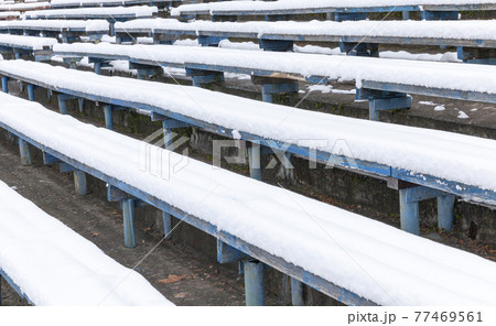 benches in the stadium 77469561