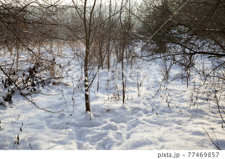 winter cold weather after the snowfall winter cold weather after the snowfall 77469857
