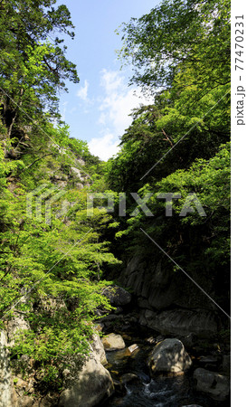 昇仙峡の初夏 昇仙峡の初夏 77470231