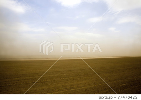 the sand wind 77470425