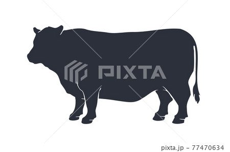 Cow silhouette. Vintage retro print cow silhouette 77470634