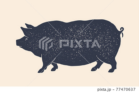 Pork, pig. Vintage retro print, silhouette pig 77470637
