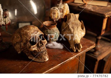 Halloween background Shelves with alchemy tools Skull spiderweb bottle with poison candles Halloween background Shelves with alchemy tools Skull spiderweb bottle with poison candles 77470782