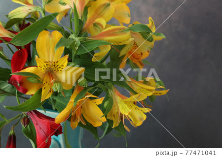 青い花瓶に活けたアルストロメリアの花束の写真素材