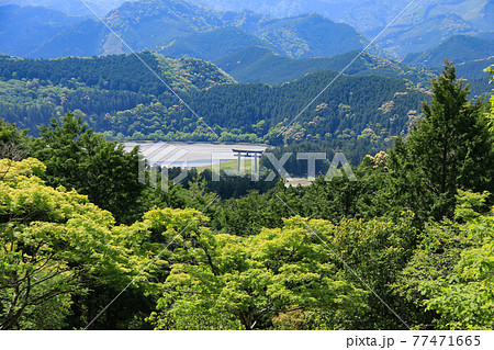 新緑の熊野古道から大斎原大鳥居を望む 、和歌山県 日本 新緑の熊野古道から大斎原大鳥居を望む 、和歌山県 日本 77471665