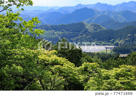 新緑の熊野古道から大斎原大鳥居を望む　、和歌山県　日本 77471666