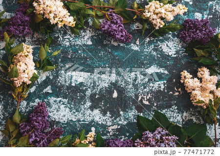 The beautiful lilac on a wooden surface The beautiful lilac on a wooden surface 77471772