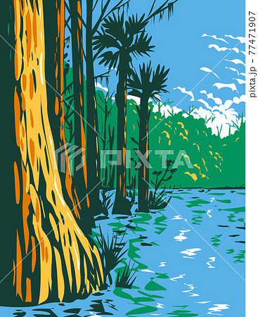 Subtropical Wetlands in Everglades National Park in the State of Florida WPA Poster Art 77471907