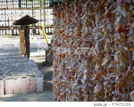 提灯と神社のおみくじ 提灯と神社のおみくじ 77472159