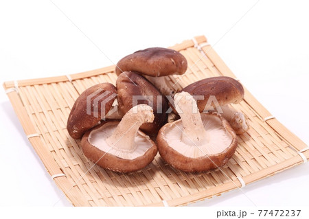 生しいたけ　椎茸　食材　明るい背景 77472237