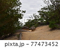 土色の登山道 77473452