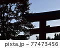 木と鳥居の影・シルエット 77473456
