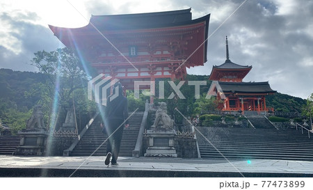 早朝の清水寺 77473899