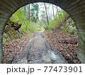 人里離れた小さなトンネル 77473901