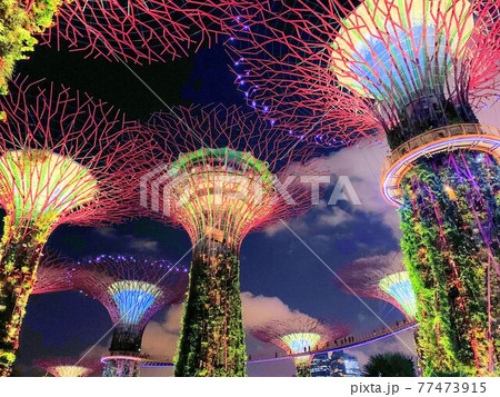 夜のシンガポール植物園 77473915