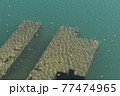 湖に沈んだ廃墟 77474965
