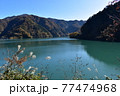 エマラルドグリーンの湖 77474968