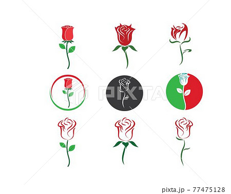 Rose flower Logo vector Template Rose flower Logo vector Template 77475128