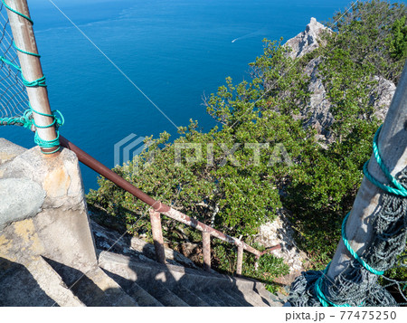 西伊豆松崎町の烏帽子山山頂からの風景 77475250