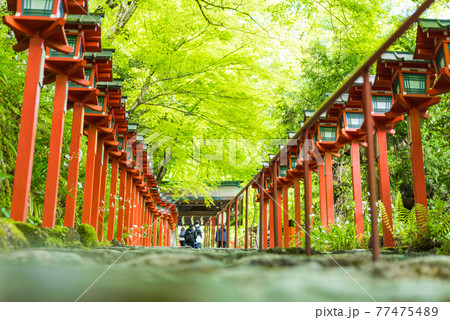 貴船神社の階段 77475489