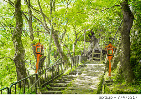 愛宕念仏寺の坂 愛宕念仏寺の坂 77475517