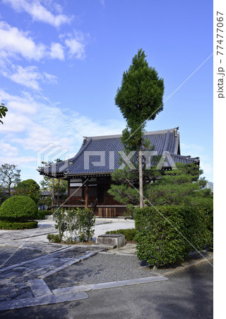 阿弥陀寺　本堂 77477067