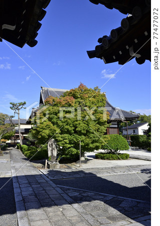 阿弥陀寺　本堂 77477072