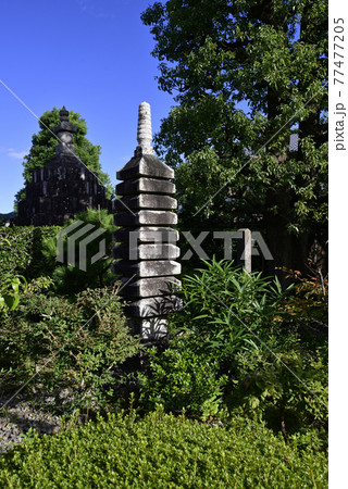 天寧寺 明智光秀公報恩塔 天寧寺 明智光秀公報恩塔 77477205