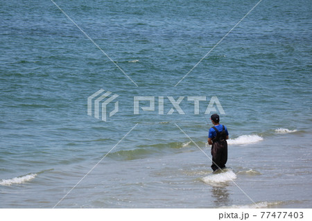 海釣りを楽しむ男の子のうしろ姿 77477403