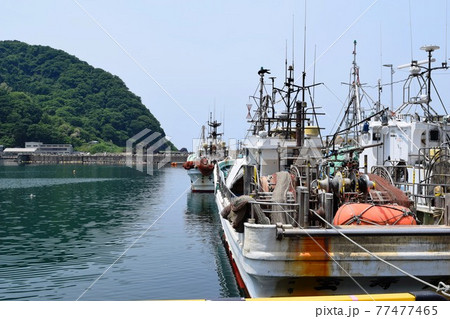 由良漁港 良質な魚介類の水揚げ漁港 由良漁港 良質な魚介類の水揚げ漁港 77477465