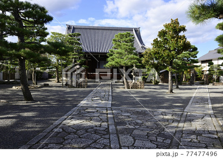 上善寺 上善寺 77477496