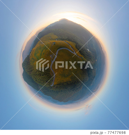 Little planet 360 degree sphere. Panorama of aerial view of tree Marigold or yellow flowers in national garden park and mountain hills in Mae Hong Son, Thailand. Nature landscape. Thung Bua Tong. 77477698
